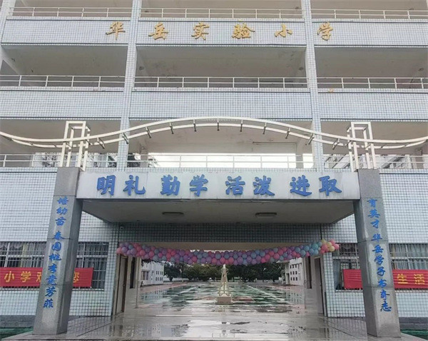 春风有信，花开有期！我们开学啦！——华岳小学2025年春季学期开学报到纪实